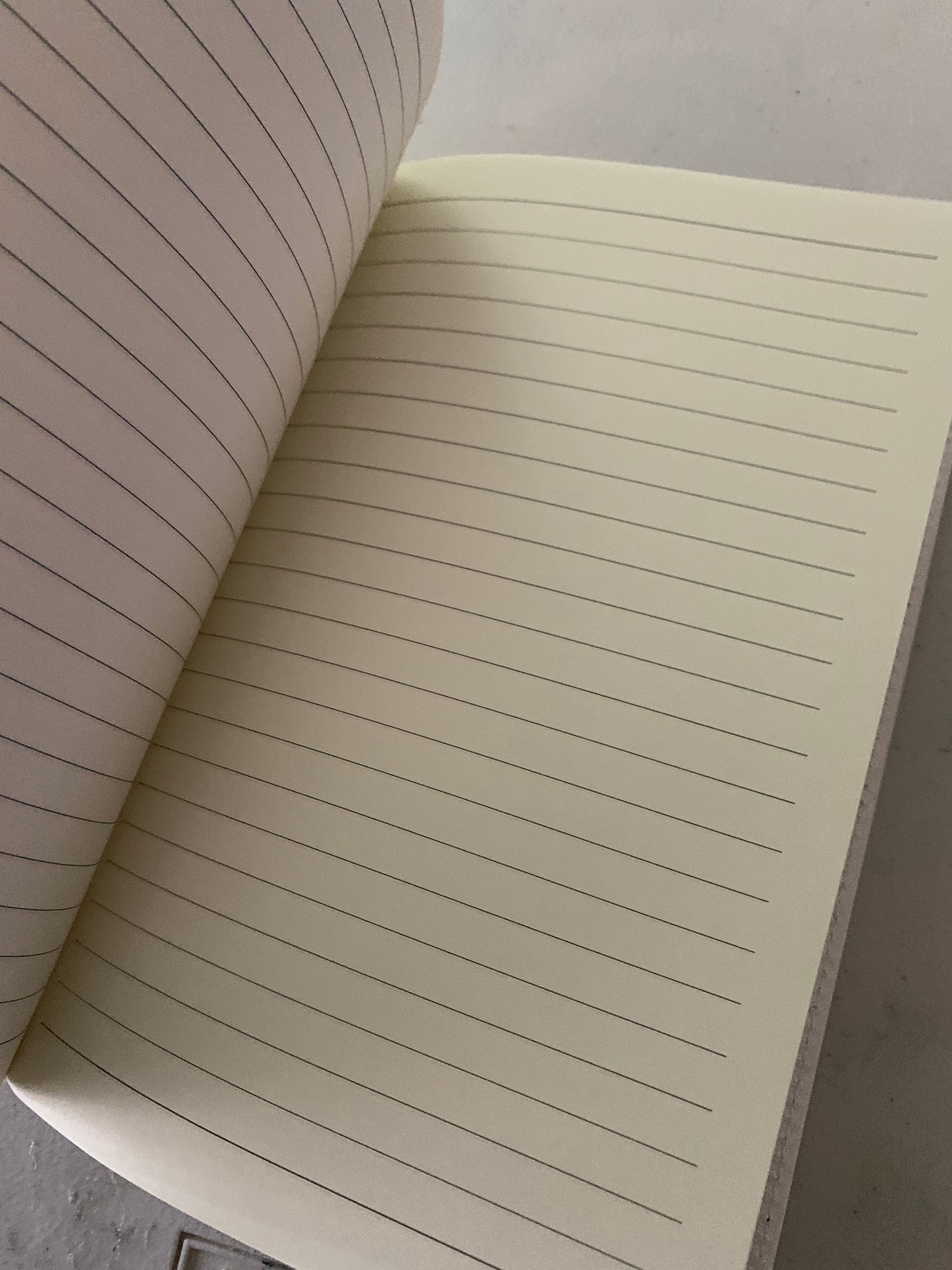 Textured Journal-Afro Bun