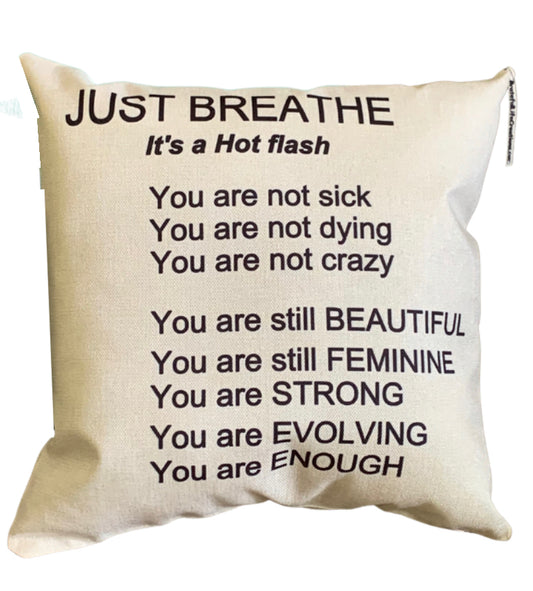 Hot Fash Menopause Affirmation Pillow