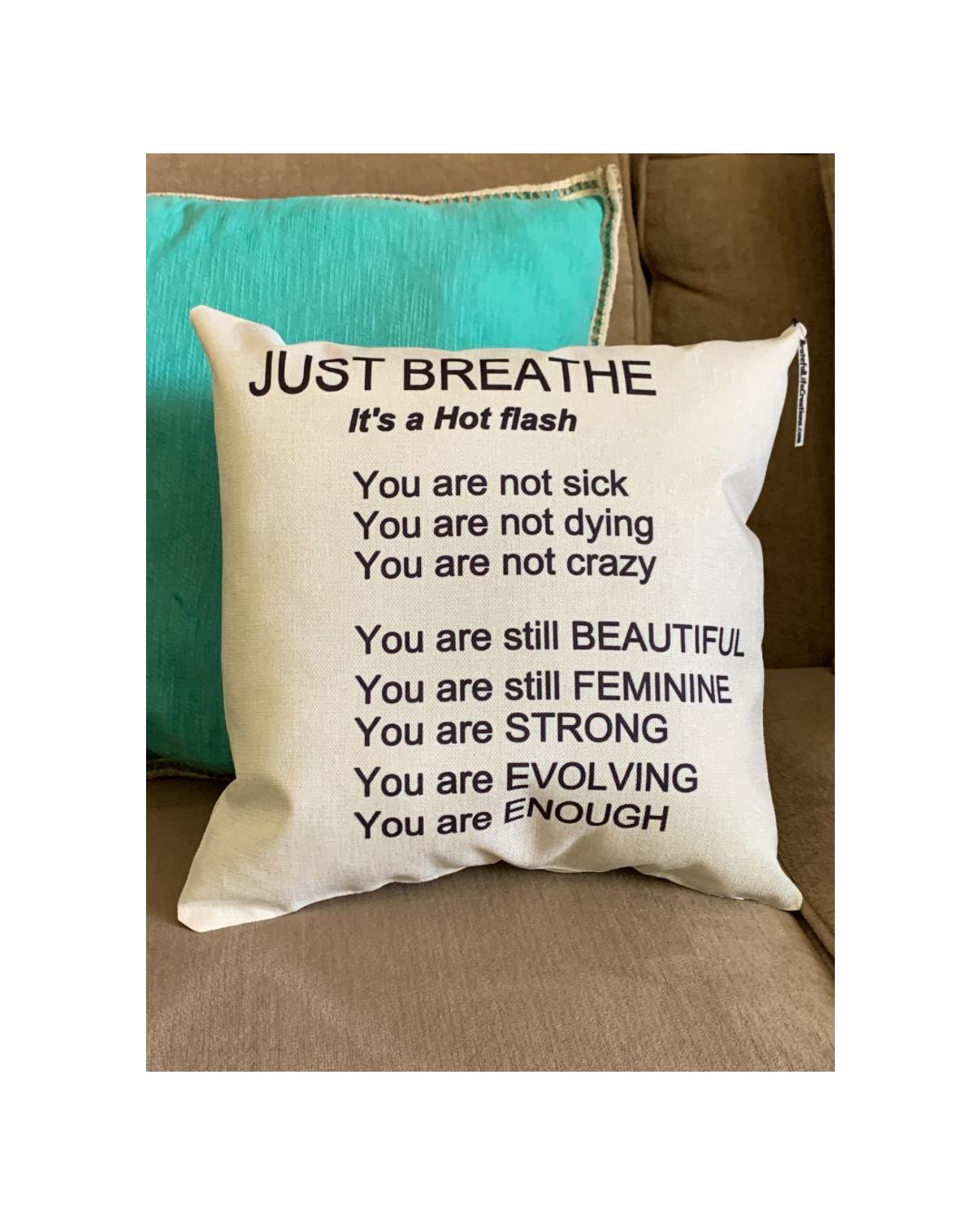 Hot Fash Menopause Affirmation Pillow