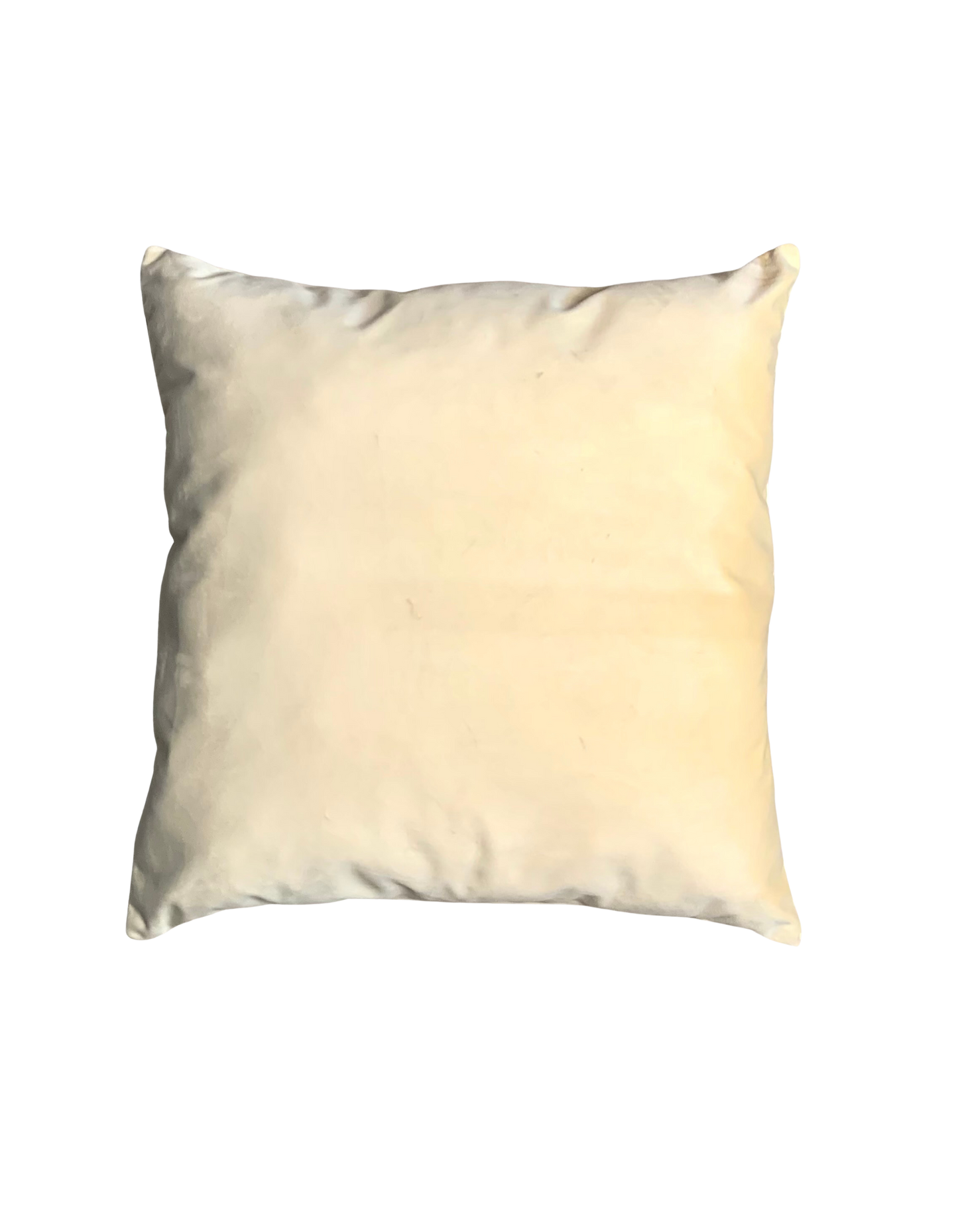 Upload YOUR Photo Pillow